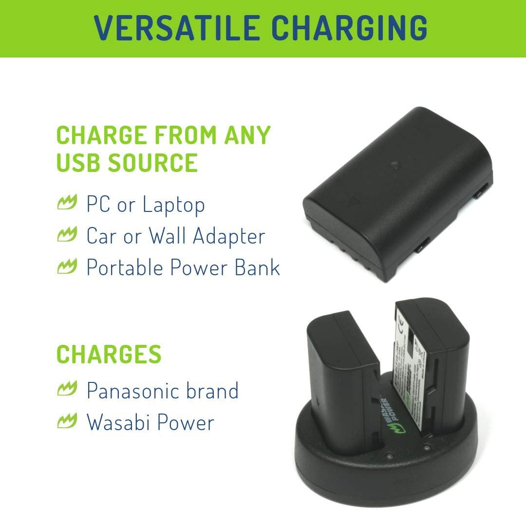 Wasabi Power 2000mAh Battery (2-Pack) And Dual Charger For Panasonic DMW-BLF19